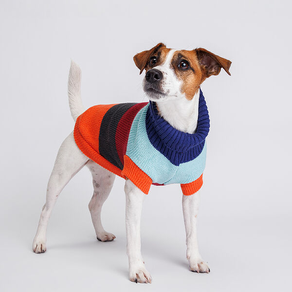 Свитер полосатый для собак, 50 см, красно-черный