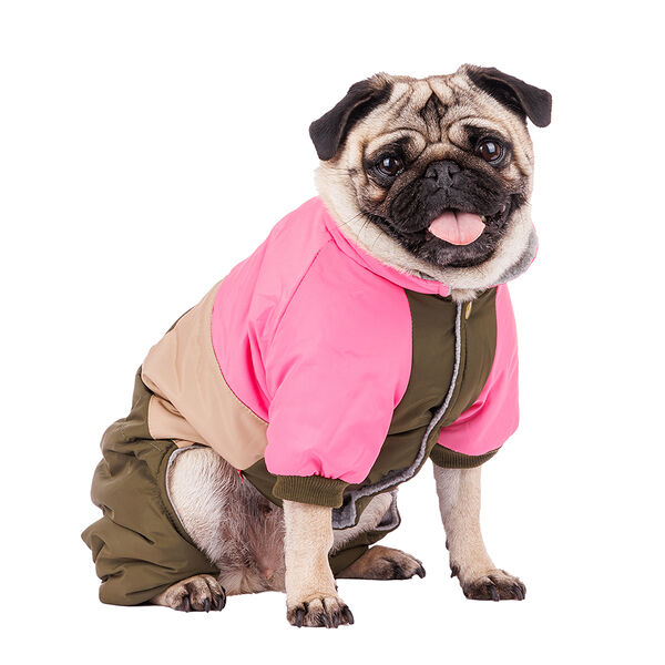 Комбинезон для собак L зеленый (девочка)