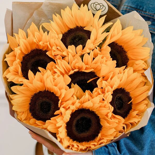 Букет из 7 подсолнухов в упаковке