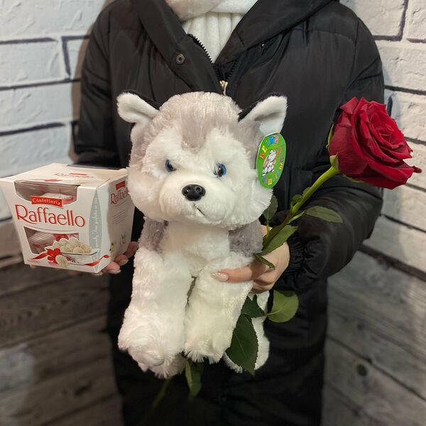 Набор собачка, роза, рафаэлло