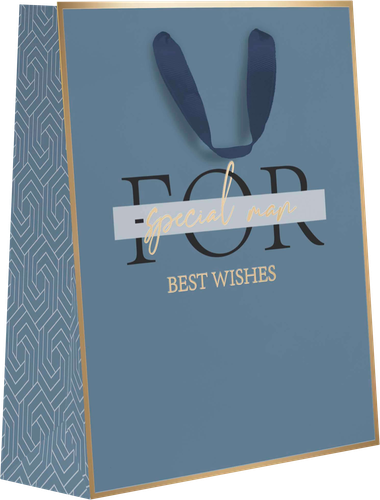 

Пакет подарочный Diplomat, 22,7х18х10см, с тиснением Арт. MT, в ассортименте