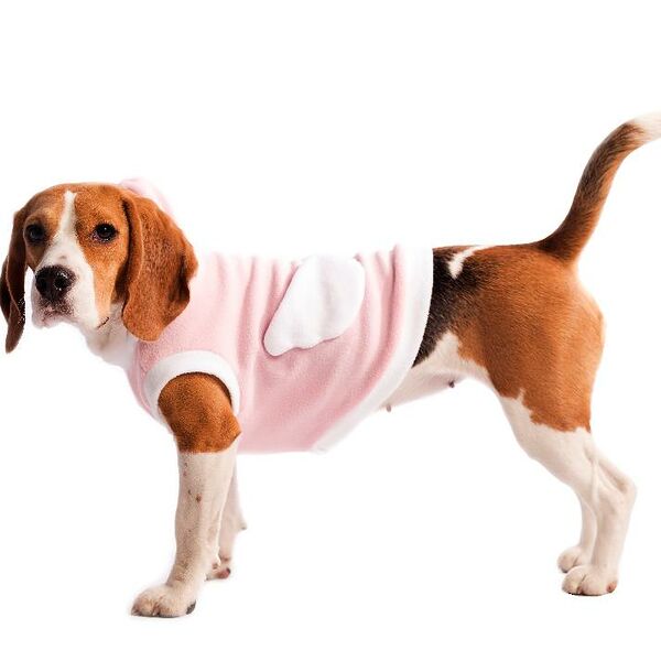 Костюм карнавальный для собак Ангел L белый (девочка)