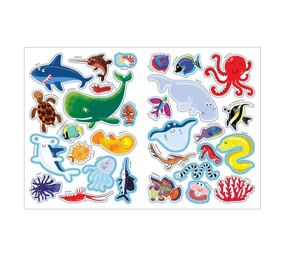 

В мире животных Тропические моря. Минишева Татьяна