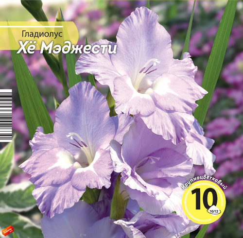 

Луковицы НК.ЛТД Гладиолус Хе Мэджести 10/12, Арт. НК390263, 10шт