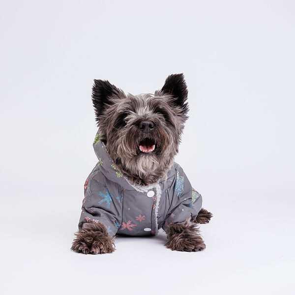 Комбинезон для собак со снежинками XL серый (девочка)
