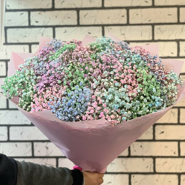 Гипсофилы радужные