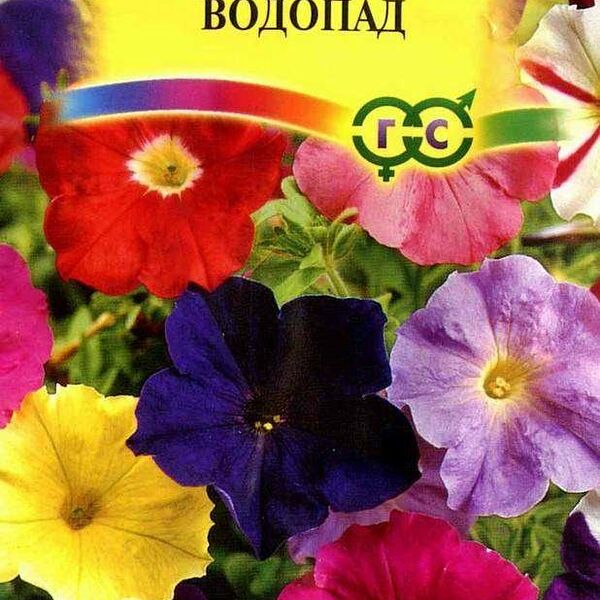 Семена Петуния амперная Водопад 10 шт ТМ Гавриш