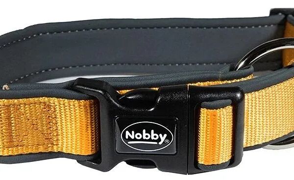 Ошейник для собак Nobby CLASSIC PRENO 20-30см/20мм нейлон оранжевый / серый
