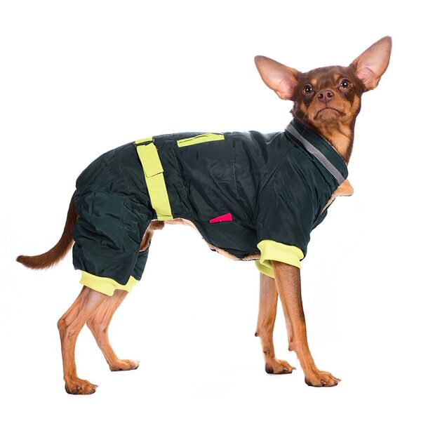 Комбинезон с поясом для собак M зеленый (унисекс)