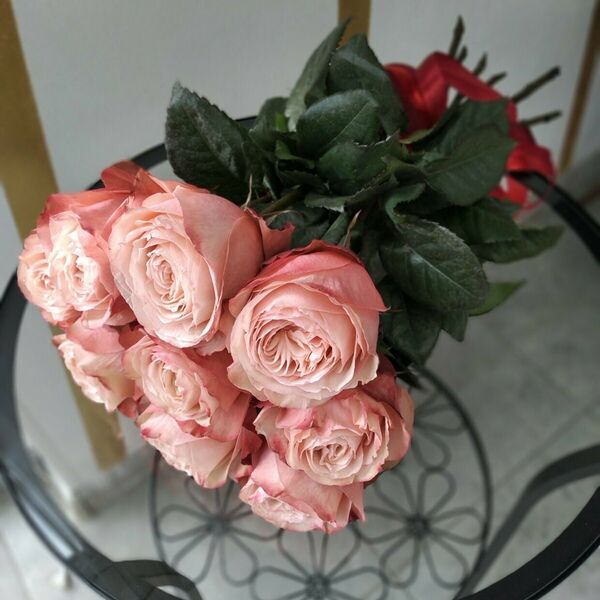 9 пионовидных роз