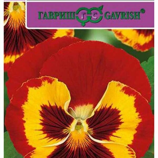 Семена Виола Барон красный F1 5 шт ТМ Гавриш