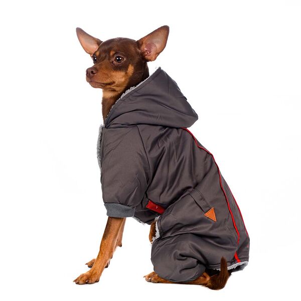 Комбинезон с капюшоном для собак S серый (унисекс)