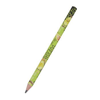 Карандаш чернографитный 4в HappyGraphix. Jumbo. Avocado Style. Yoga Guru, диаметр грифеля 3.5 мм, BrunoVisconti, Китай