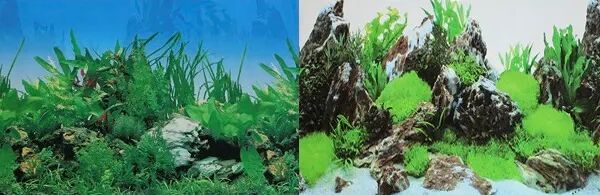 Фон для аквариума двухсторонний Растительный/Скалы с растениями 30 х 60 см, в ассортименте