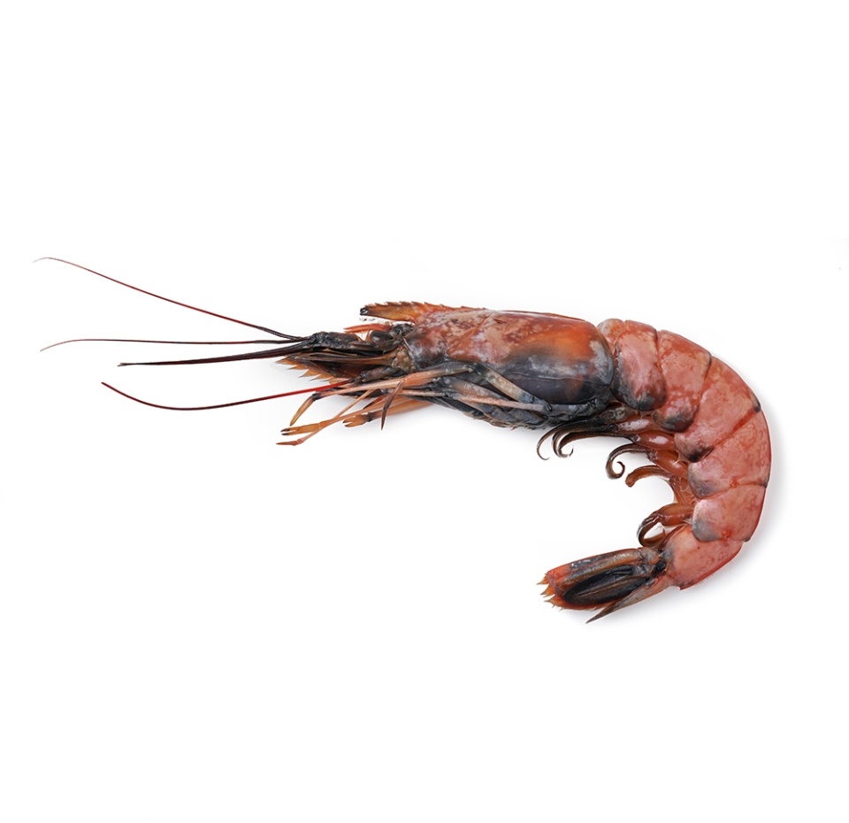 

Креветки красные с головой неразделанные, калибр 10-20 шт. в кг, Аргентина