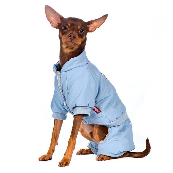 Комбинезон для собак King XS голубой (унисекс)