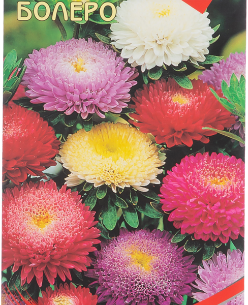 Семена ДОМ СЕМЯН Астра Болеро