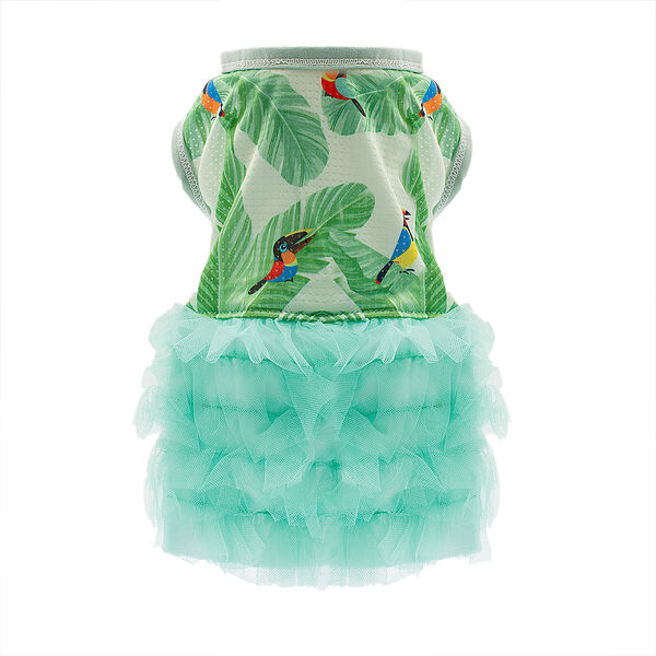Платье для собак Птицы XL зеленый (девочка)