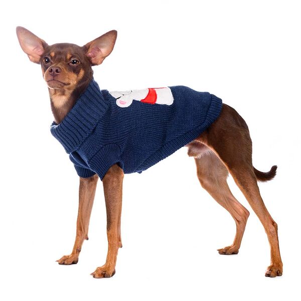 Свитер для собак 55см 4XL синий (унисекс)