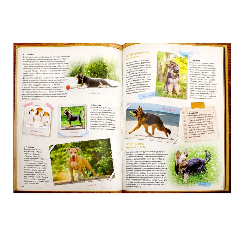 

Книга Собаки. Подарочная иллюстрированная энциклопедия, Россия