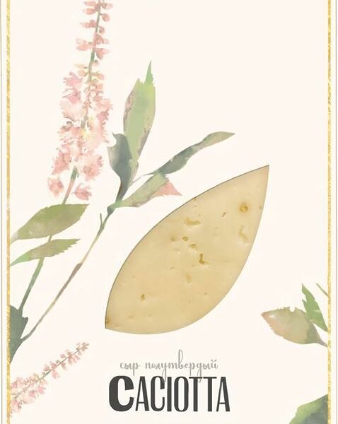 БЗМЖ Сыр Итальянские Традиции Качотта 39% 160г