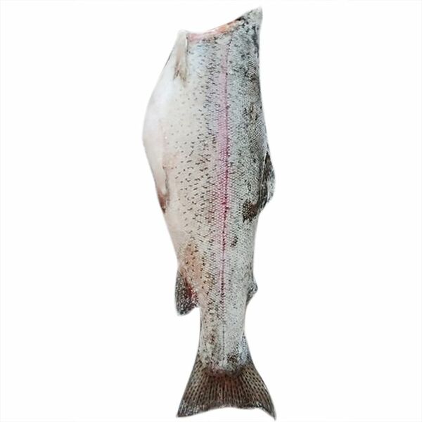 Форель радужная замороженная