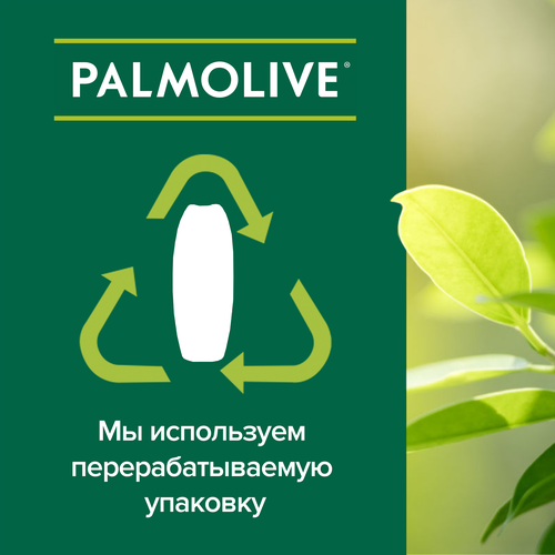 

Гель для душа Palmolive Натурэль Мягкий и освежающий Арбуз 750 мл
