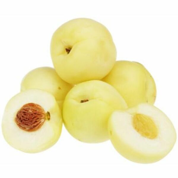 Абрикосы белые