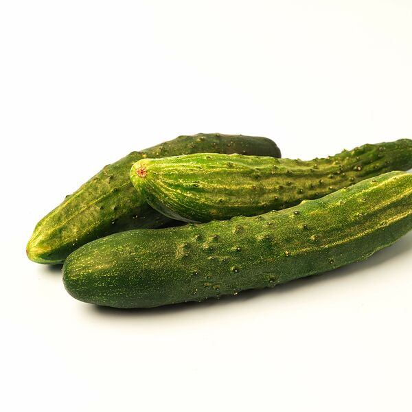 Огурцы Белая дача сочные