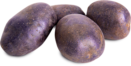 

Картофель фиолетовый Индиго, мытый, весовой