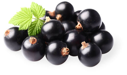 Смородина черная вес