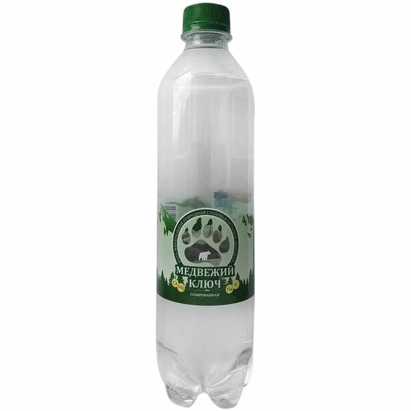 Вода Медвежий ключ Боровая минеральная газированная 500 мл