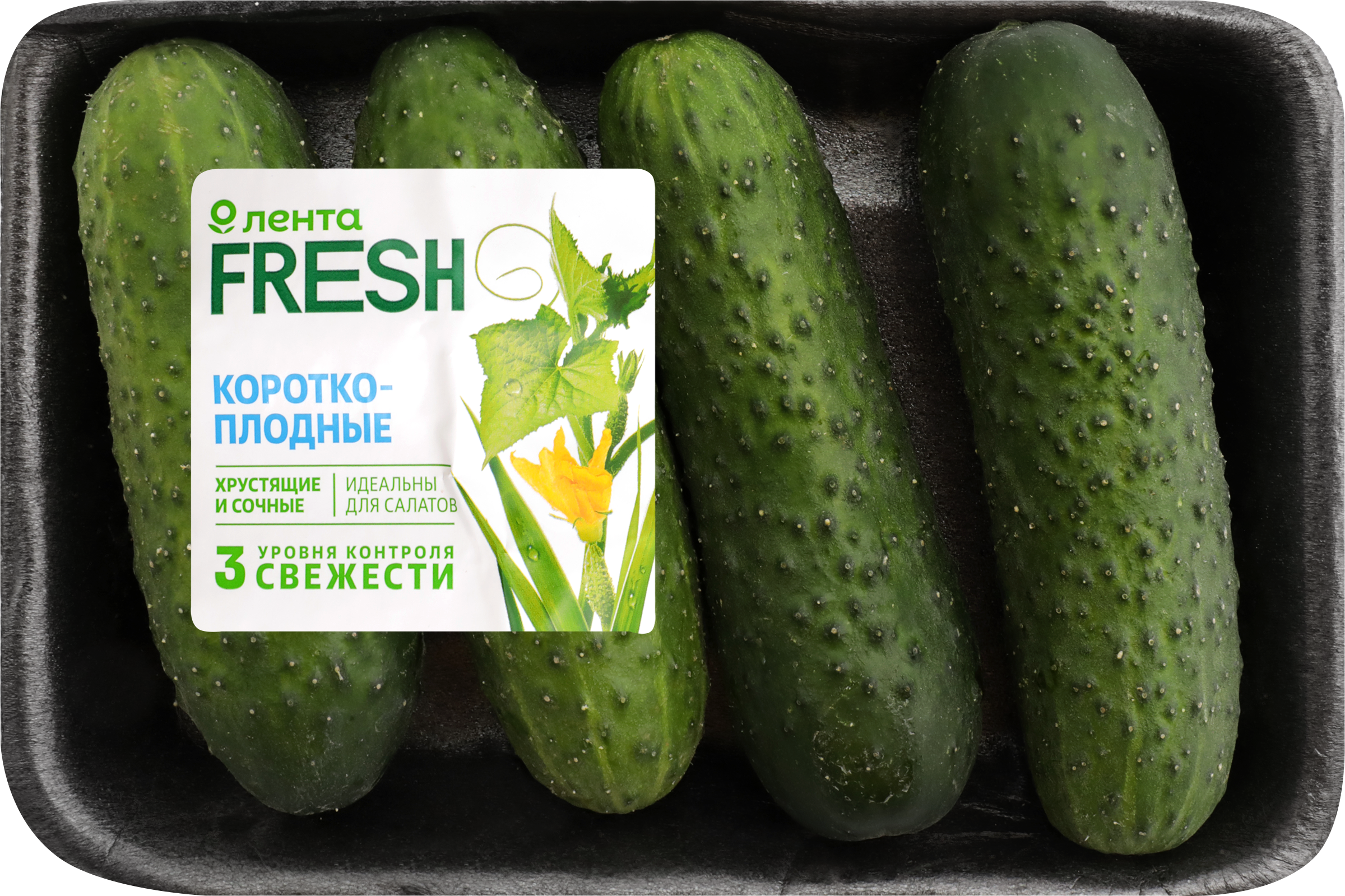 

Огурцы короткоплодные Лента Fresh колючие 450 г