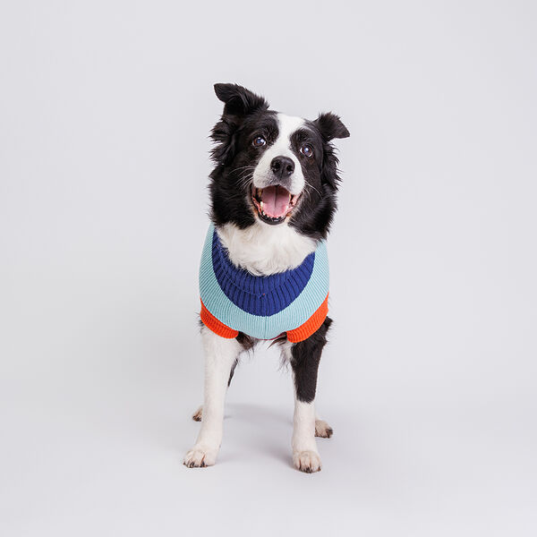 Свитер полосатый для собак, 55 см, красно-черный