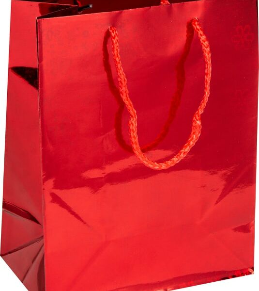 Пакет бумажный Принчипесса 22.9*17.8*9.8см в ассортименте