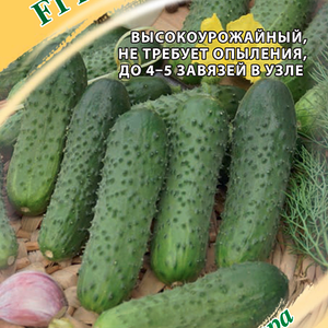 Семена ГАВРИШ Семена от автора, Огурец Гирлянда F1
