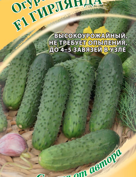 Семена ГАВРИШ Семена от автора, Огурец Гирлянда F1