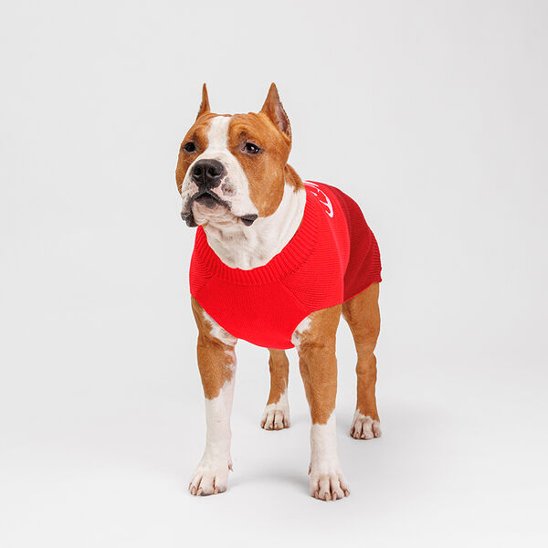 Свитер с оленем для собак, 3XL, 46 см, красный