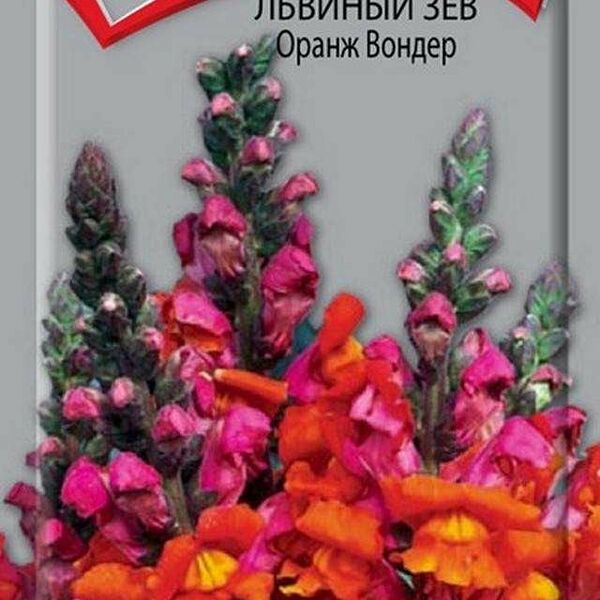 Семена Львиный зев Оранж вондер ТМ Поиск