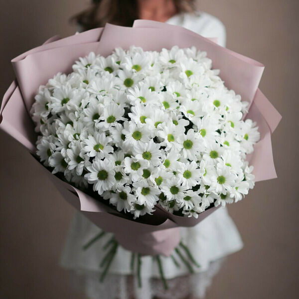 Букет из 25 хризантем.