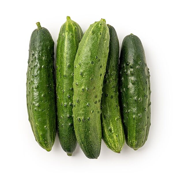 Огурцы среднеплодные