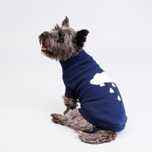 Свитер для собак, 40 см, синий с облачком