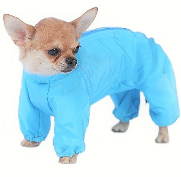 Комбинезон холодный для собак пудель карликовый M (девочка)