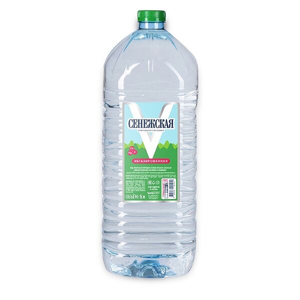 Вода питьевая Сенежская негазированная пэт