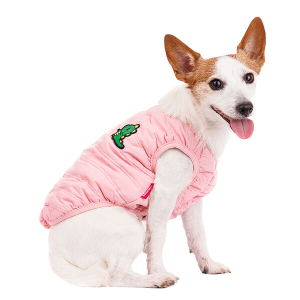 Жилетка для собак с дракошей XL (унисекс)