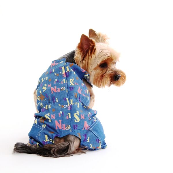 Комбинезон для собак Алфавит M синий (мальчик)