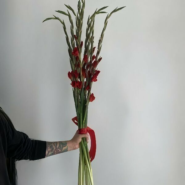 Букет из 9 красных гладиолусов