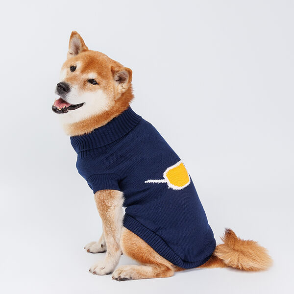 Свитер для собак, 60 см, синий с очками