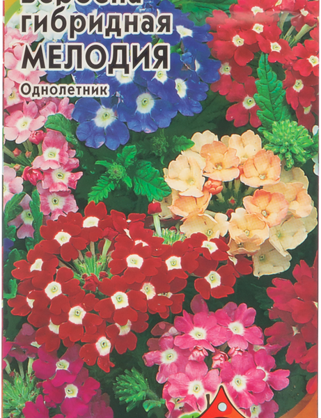 Семена ГАВРИШ Удачные семена, Вербена гибридная Мелодия, Арт. 1000292700