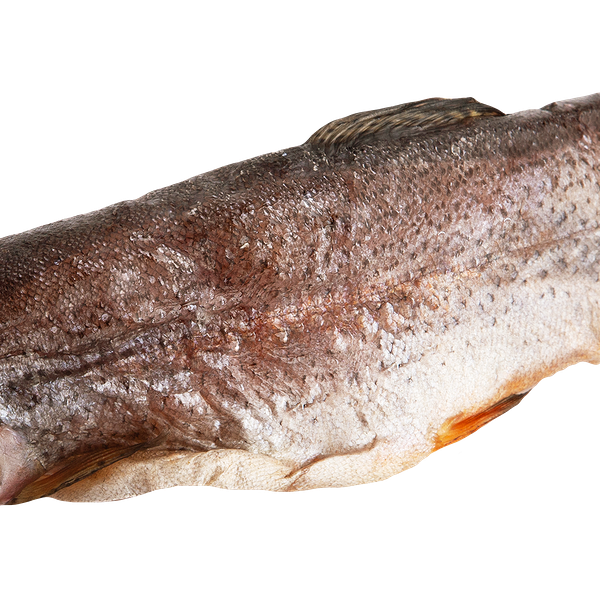 Форель вял вес до 300г